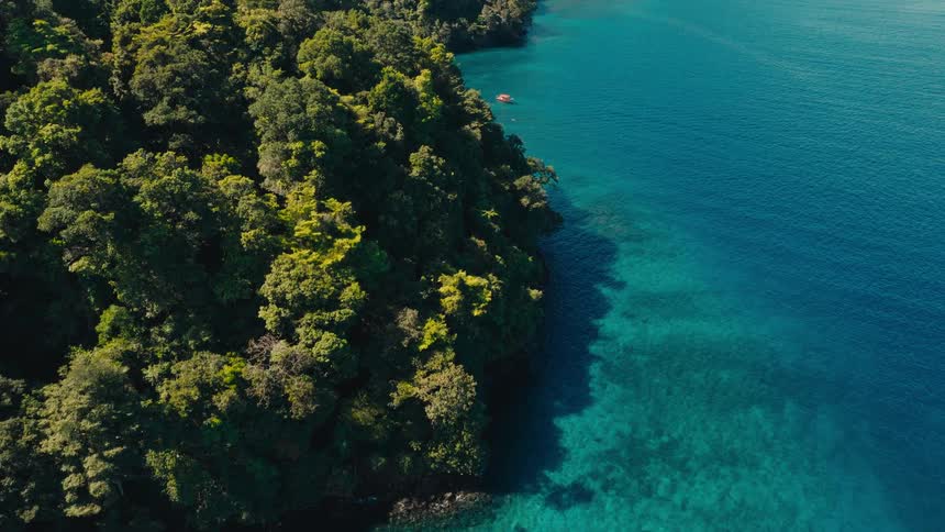 Coast of an island covered in heavy vegetation next to a very blue sea outdoors during day time
