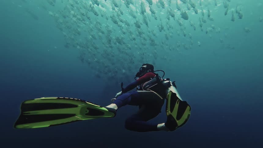 A scuba diver wearing a black suit and yellow fins swims through deep blue water toward a massive school of fish before turning to face the camera and making okay signs with both hands