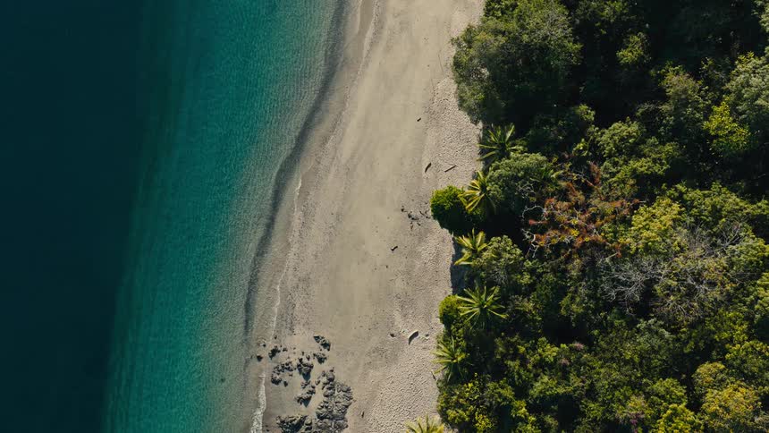 An aerial view shows a tropical beach with white sand and clear blue water next to a lush green forest with palm trees