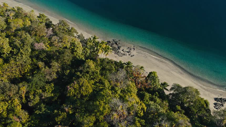 An aerial view shows a dense lush green forest meeting a pale sandy beachthe calm turquoise water transitions into a deep blue as the camera slowly pans across the coastline