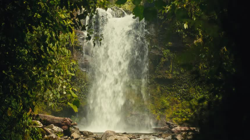 Water falls down a short cliff into a stream in the woods during the daytime