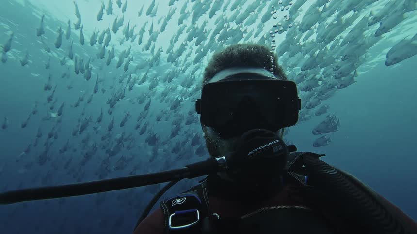 Scuba diver looking around underwater below a large school of fish as oxygen bubbles rise to the surface