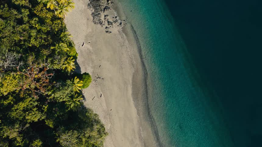 Tropical forest along the coast overlooking the beach as clear water waves roll in to shore