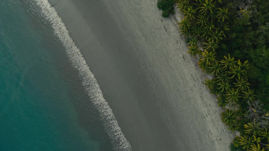An overhead view shows a wide beach with grey sand and palm trees next to the blue ocean as small waves roll onto the shore