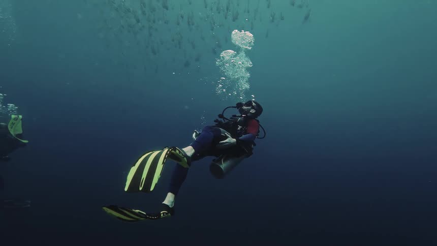 Two people scuba dive underwater as a school of fish swims around them at midday