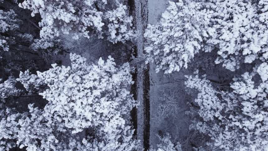 Aerial view of a narrow trail crossing a snowcovered forest