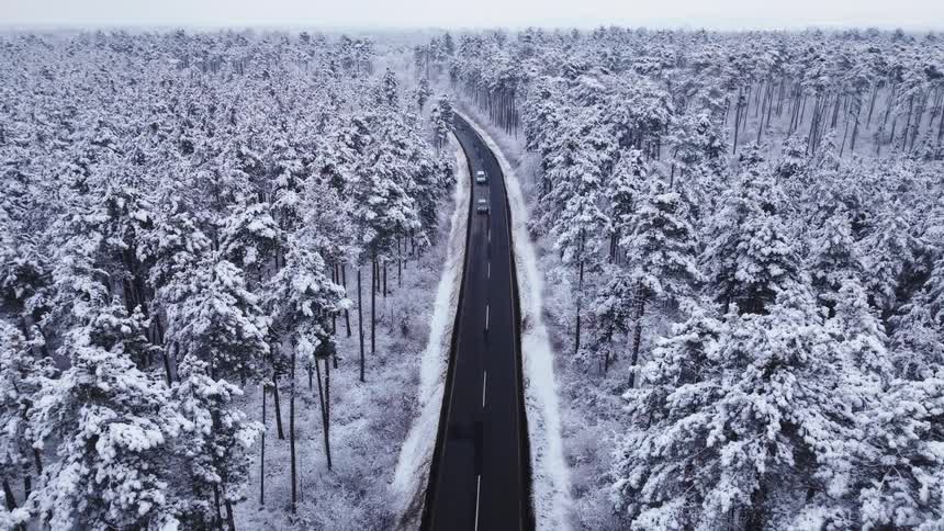 Aerial view of cars driving on road through snowy forest