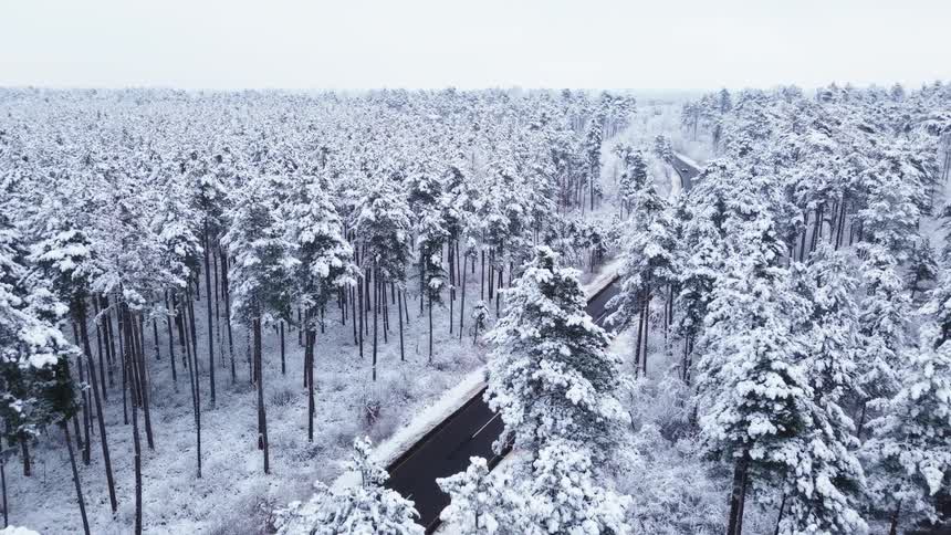 Aerial view of a snowcovered forest with a winding road in the background