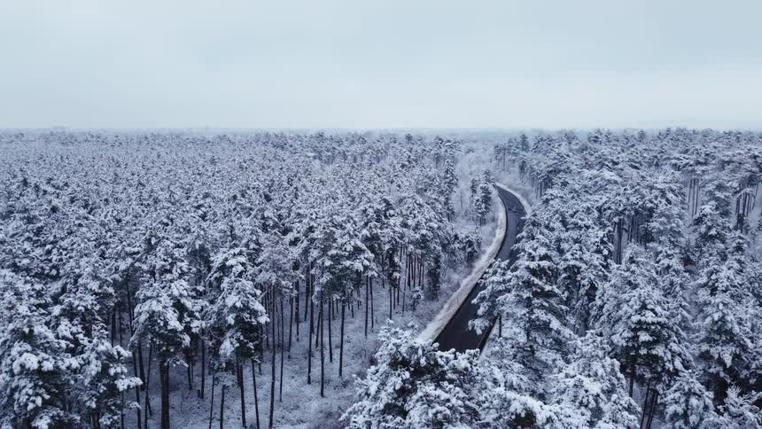 Winding road crossing a vast snowcovered forest seen from above