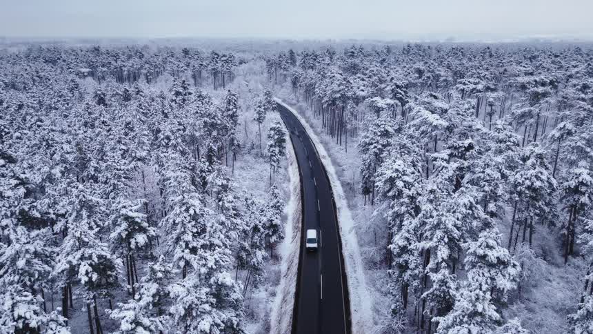 A dark winding road cuts through a vast forest where every tree is heavily blanketed in thick white snowfrom a high aerial perspective a few vehicles travel along the cleared asphalt creating a sharp contrast against the frozen monochrome landscape