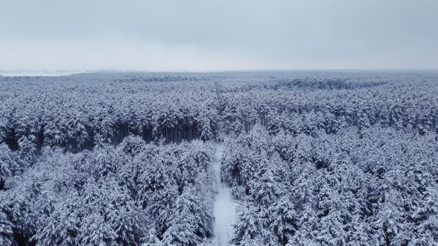 An aerial view shows a vast snowcovered forest of evergreen trees stretching toward a misty horizon under a grey overcast skya narrow snowdusted path cuts through the center of the dense woods creating a quiet trail amidst the frozen landscape