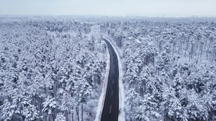 Aerial view of road through snow covered pine forest