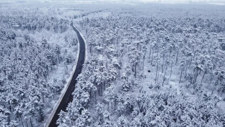 An overhead view shows many pine trees covered in thick white snow while a black road winds through the center of the forest under a grey sky