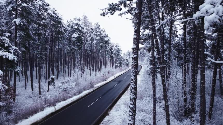 An overhead view shows many pine trees covered in thick white snow while a black road winds through the center of the forest under a grey sky