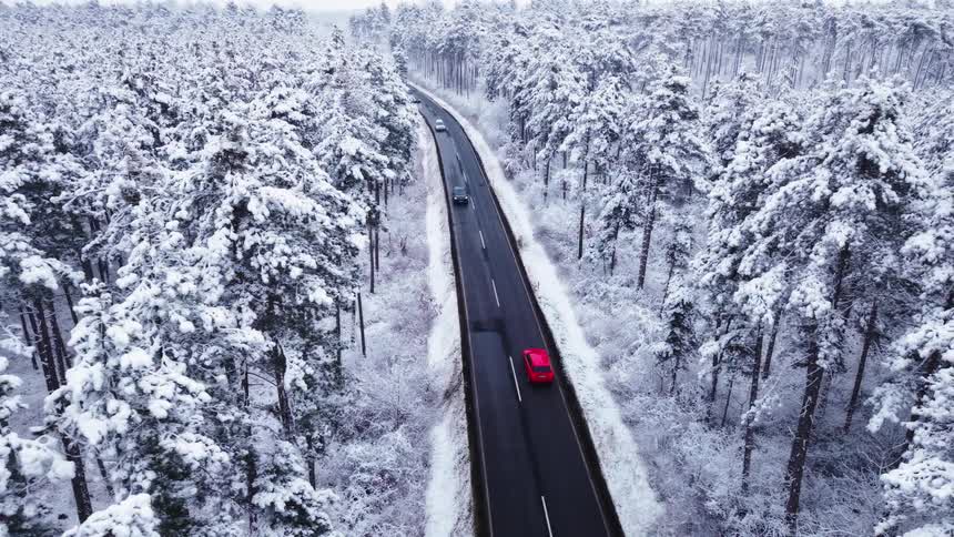A dark asphalt road cutting through a dense pine forest covered in thick white snow while a red car and several dark vehicles drive along the winding path between the frozen trees under a bright overcast sky