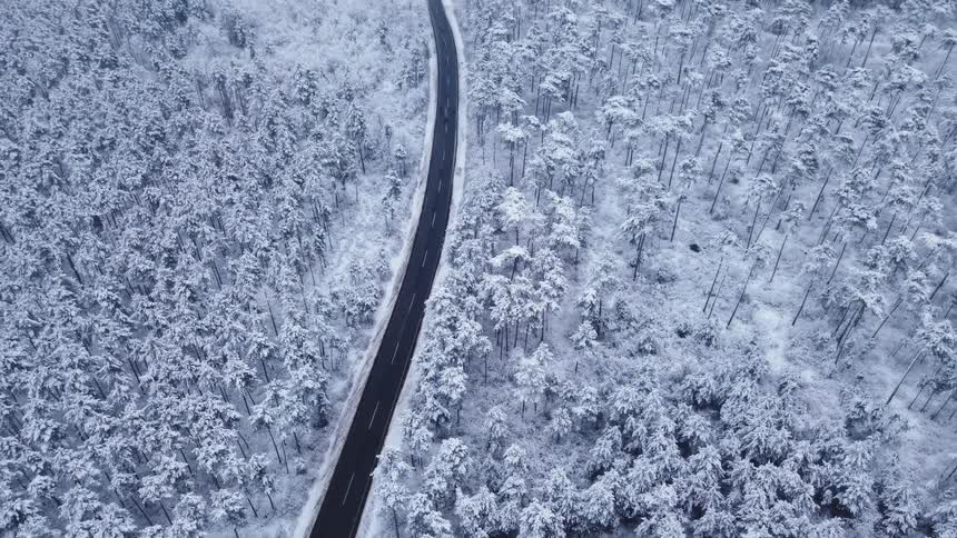 An overhead view shows many pine trees covered in thick white snow while a black road winds through the center of the forest under a grey sky