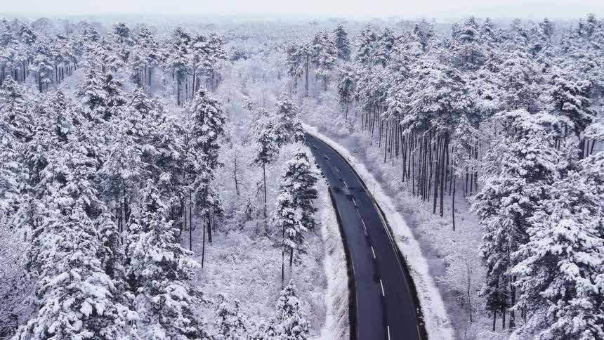 An aerial view shows many pine trees covered in thick white snow while a black road winds through the center of the forest under a grey sky