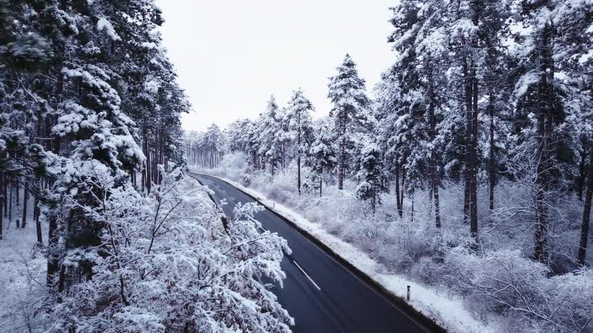 An aerial view glides above a dark twolane road cutting through a snowcovered pine forest drifting forward as frosted branches slide past the edges and the asphalt curves into the pale distance