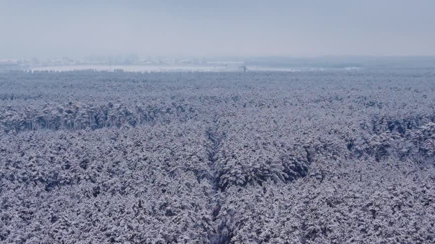 Vast snowcovered forest seen from above under a cloudy sky