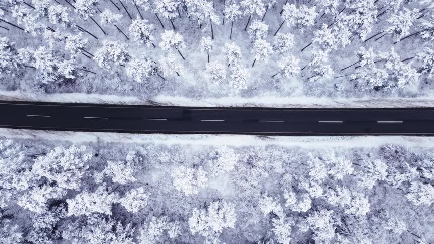 Dark asphalt highway contrasts with a frost and snow covered forest on a winter day