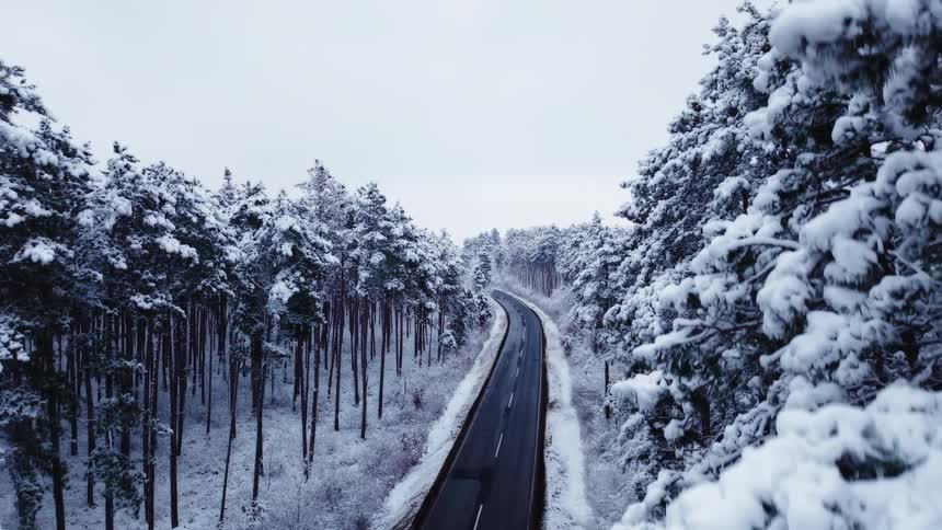 An empty tarred road passes through a forest with snowcovered trees on a winter day at midday