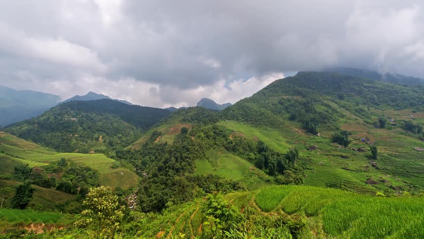 A view of a mountain covered in grass