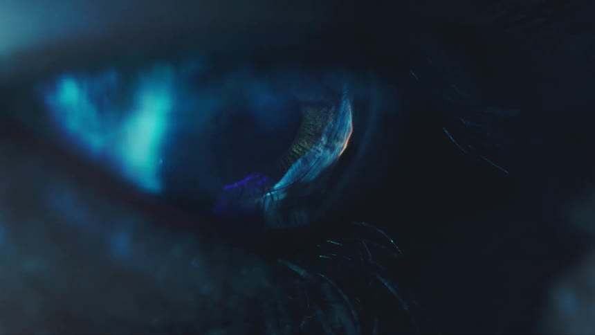 Human eye closeup with details of blue iris