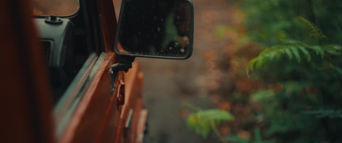 A person drives a car through a forest after rainfall with wet roads and glistening tree leaves at midday
