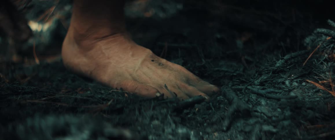 A dirty bare foot steps firmly onto a dark ground covered in ash and charred forest debristhe foot soon lifts away leaving a faint impression in the cold sootblackened earth