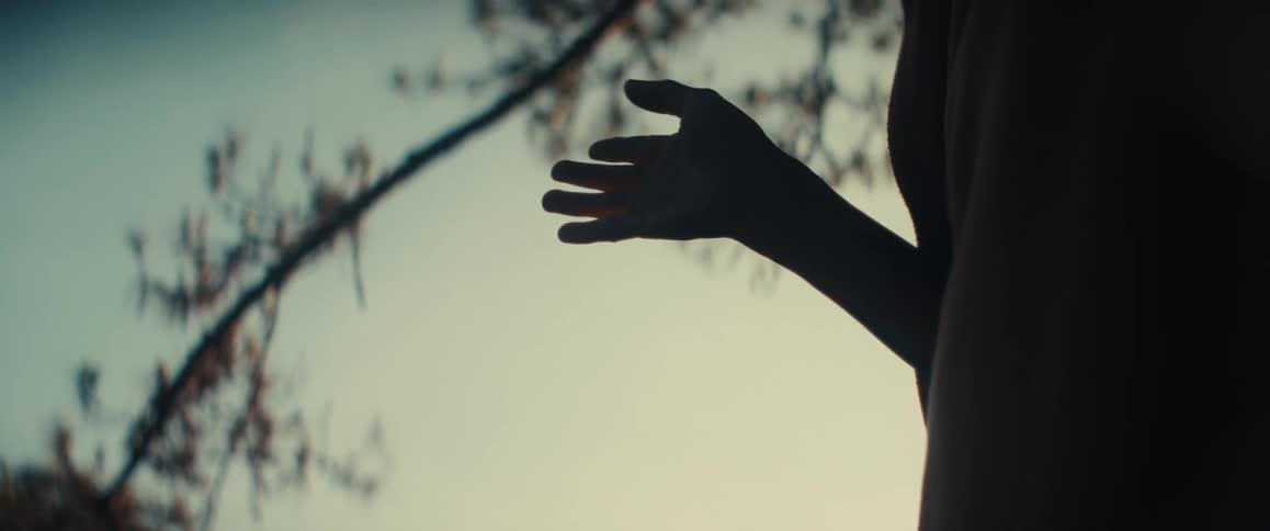 The person raises his hand by the tree