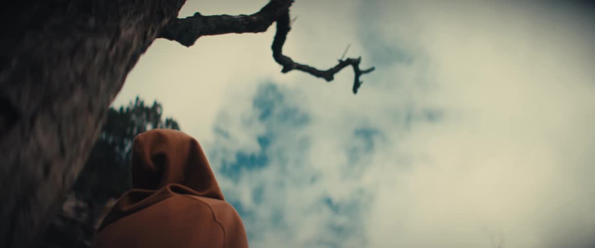A person wearing a brown hooded sweatshirt is seen from behind looking up toward a cloudy skythey are positioned next to a large tree with a prominent bare branch extending into the frame