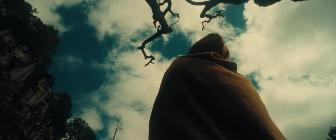Cloaked figure stands near a leafless tree and looks up at a cliff on a cloudy day