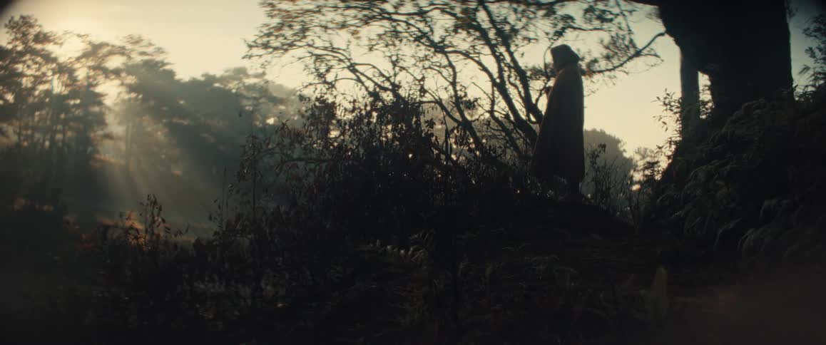 Cloaked figure stands on top of a cliff on a foggy day