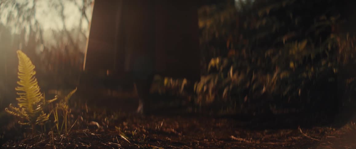 Adult woman walking barefoot on a grove wearing a down with a hood over her head outdoors during dusk or dawn