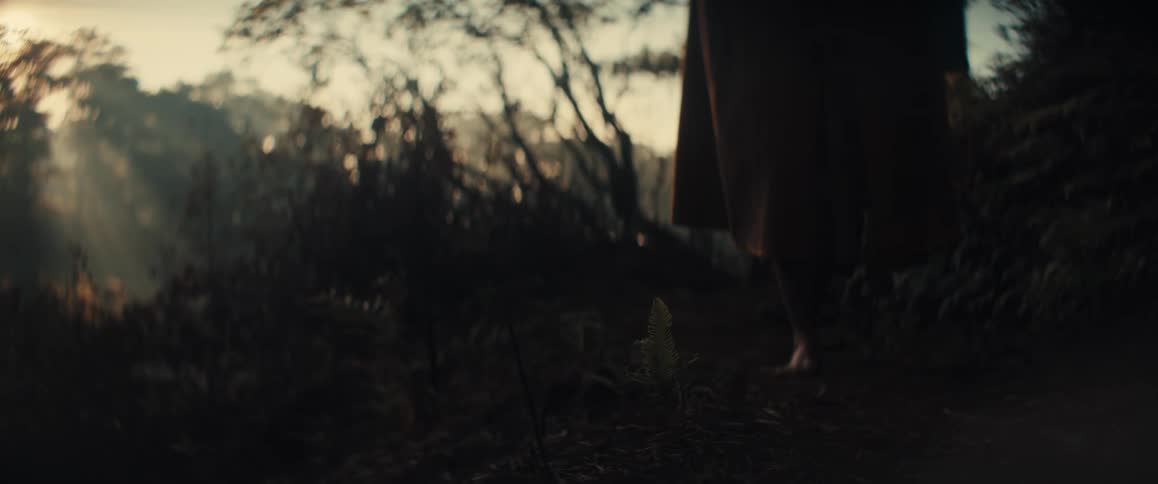 A woman wearing a long brown cloak walks barefoot along a dark forest path at dusk