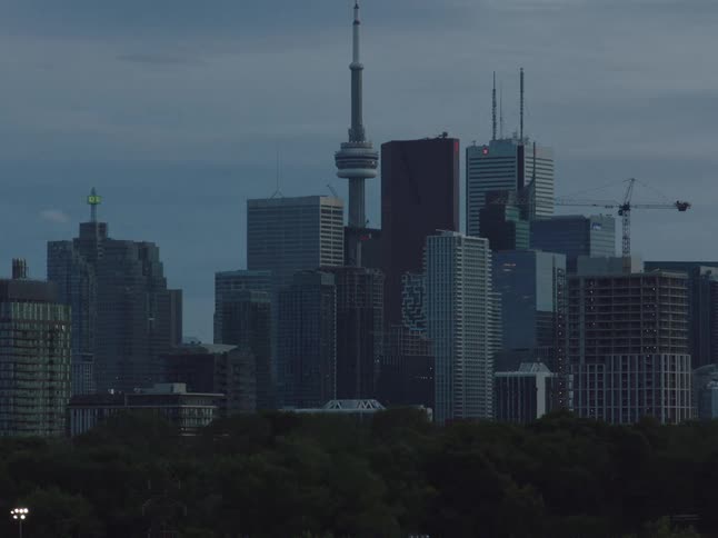 The forest is before the big city