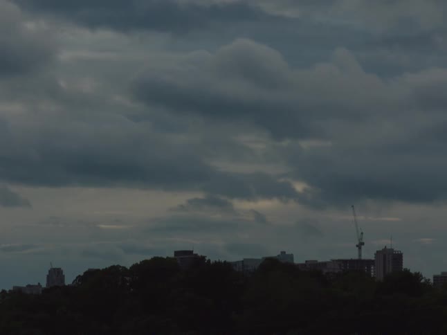 Metropolitan neighborhood with high ride buildings and trees under heavy clouds outdoors