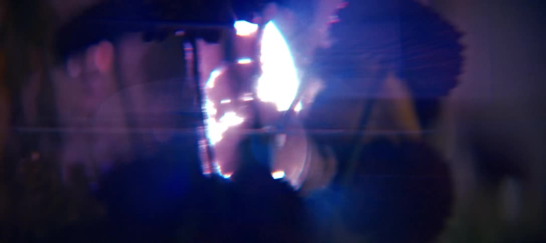 This video features heavy atmospheric light leaks and anamorphic lens flares that sweep across the frame these colorful artifacts overlay dark outoffocus shapes of flowers creating a dreamlike and abstract visual texture