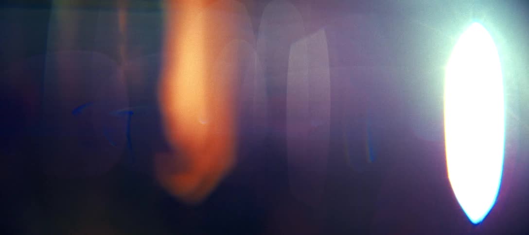 Silhouette of flowers in a dark environment with intense blue light on the left