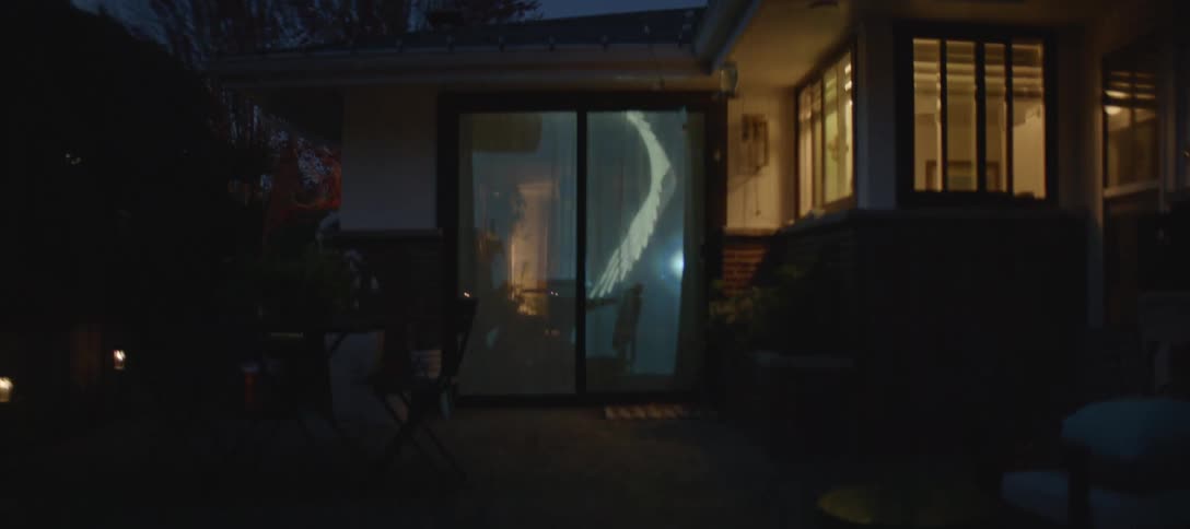 House facade at night with a glass door displaying a geometric light projection inside