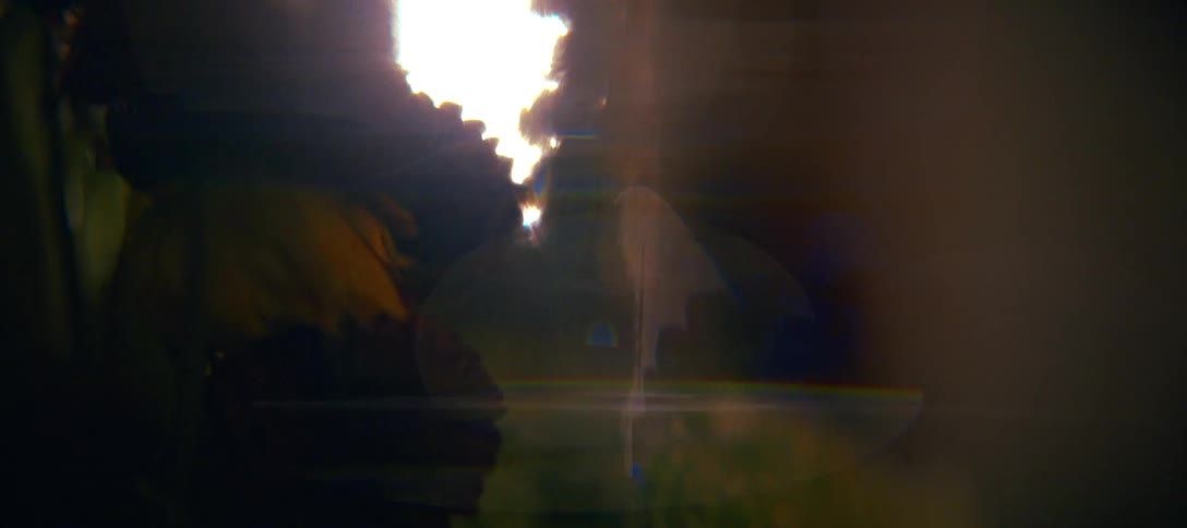 A bright oval light source shines through dark flowers and foliage with soft lens flares and a glowing atmosphere in a close view