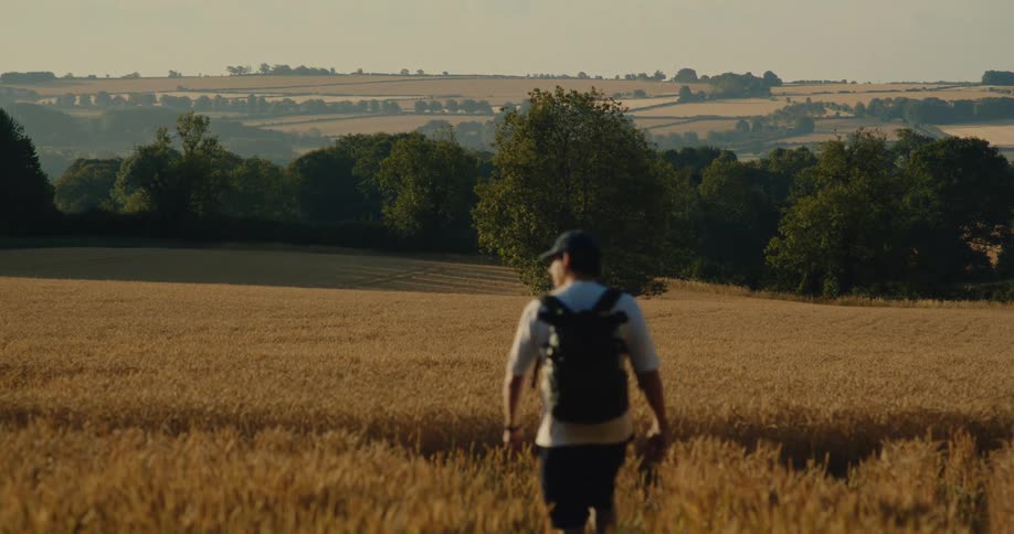 Person walking through golden wheat field at sunset