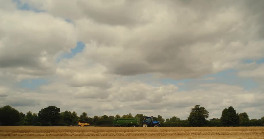 Blue tractor pulling a green trailer in a wheat field under a cloudy sky