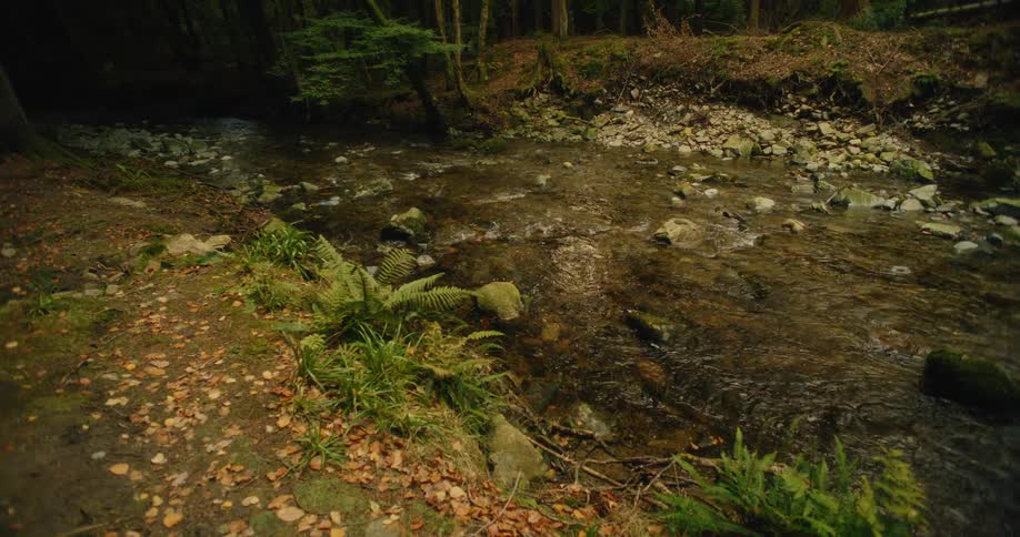 Creek surrounded by rocks and trees outdoors during day time