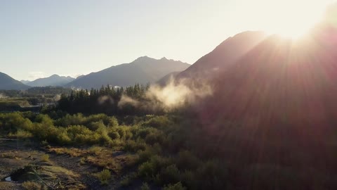 Mist rises from the forest in front of mountains