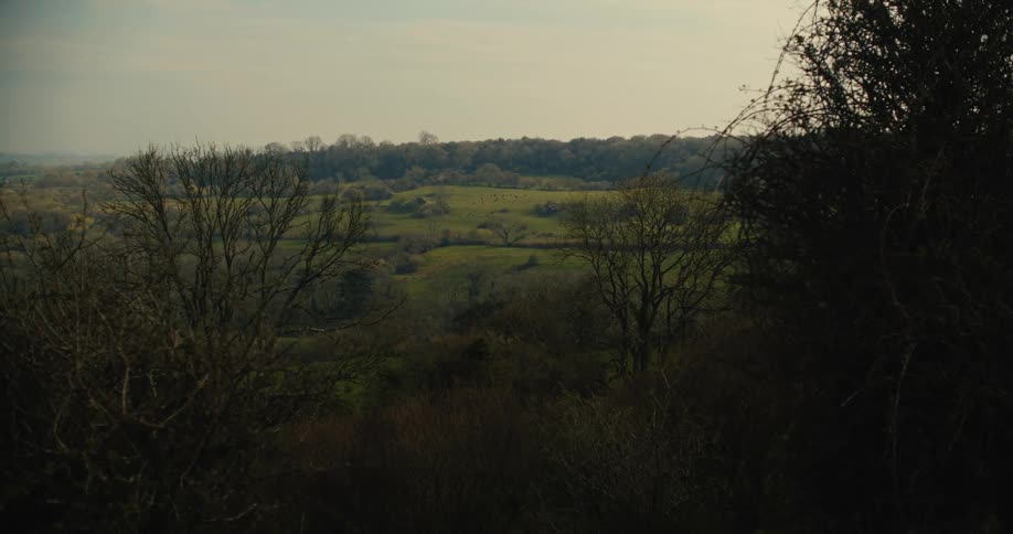 Rolling green hills and patches of farmland stretch toward a distant densely wooded ridgeline under a muted hazy skybare dark branches in the foreground frame the valley highlighting the transition of colors between the autumn foliage and the open