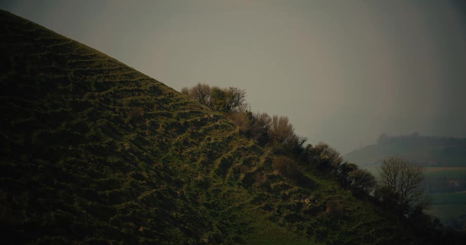 A steep grassy hillside with scattered bushes under a hazy sky