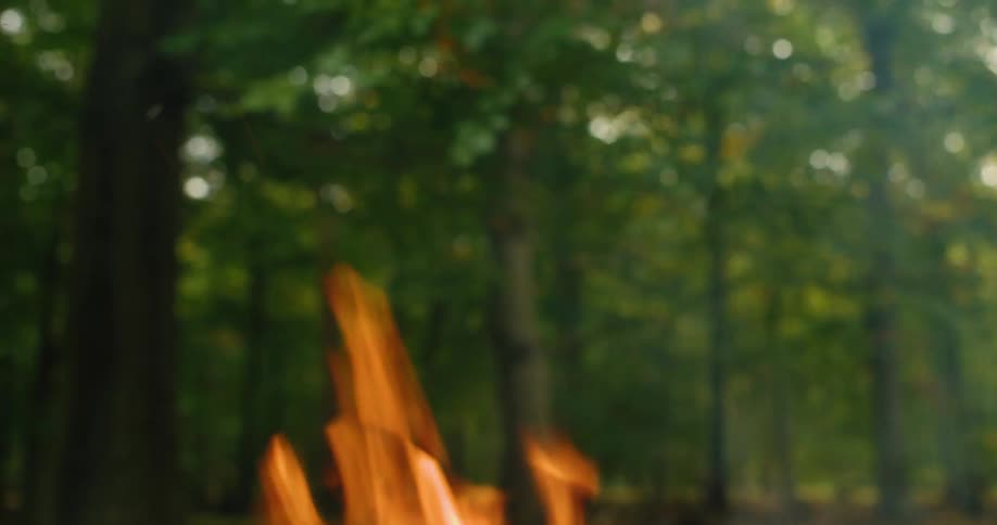 Glowing orange sparks and embers dance upward from a flickering campfire set against a backdrop of soft outoffocus green treesthe vibrant flames lilt in the center of the frame as thin wisps of grey smoke begin to drift through the forest air