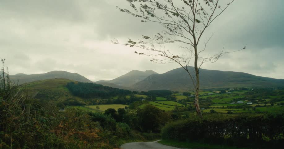 A narrow road curves through a vast green valley toward misty mountains under a heavy overcast sky while a thin leafless tree stands in the foreground