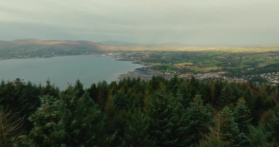 A dense evergreen forest in the foreground leading toward a coastal town nestled along a wide bay under a cloudy sky with sunlight hitting the distant green hills and quiet residential neighborhoods